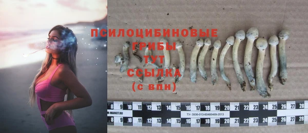 гидропоника Болохово