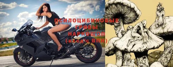 индика Нягань
