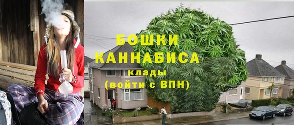 spice Аркадак