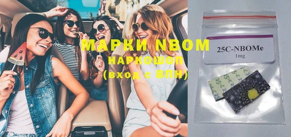 хмурый Няндома
