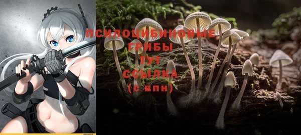гидропоника Нязепетровск