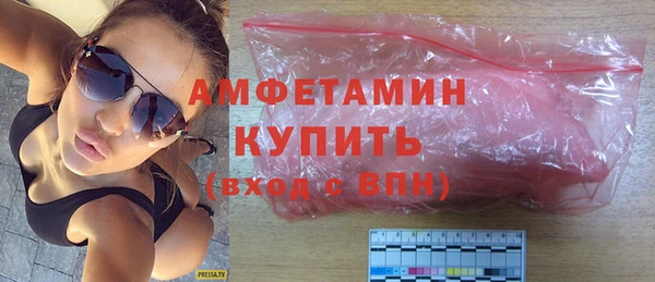 индика Нягань