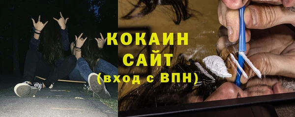 индика Нягань